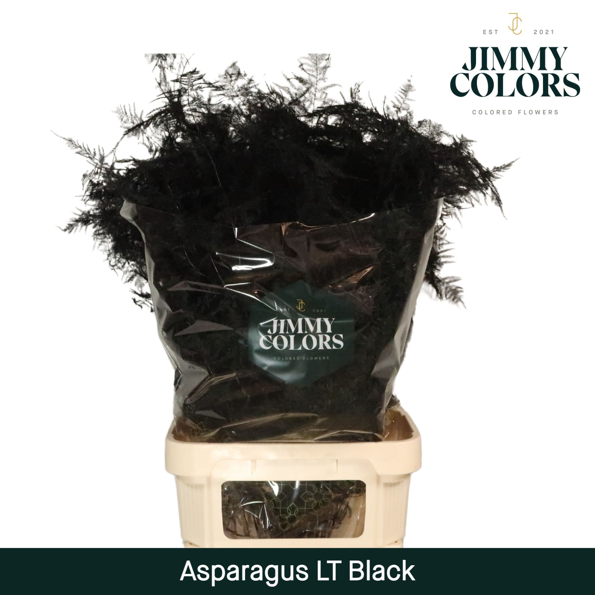 Aspa Lang Getopt Black