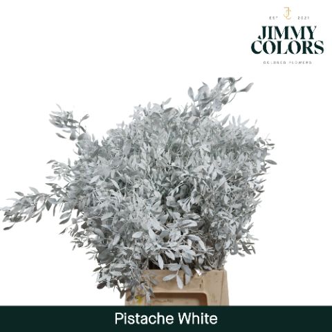 Pistache L50 White