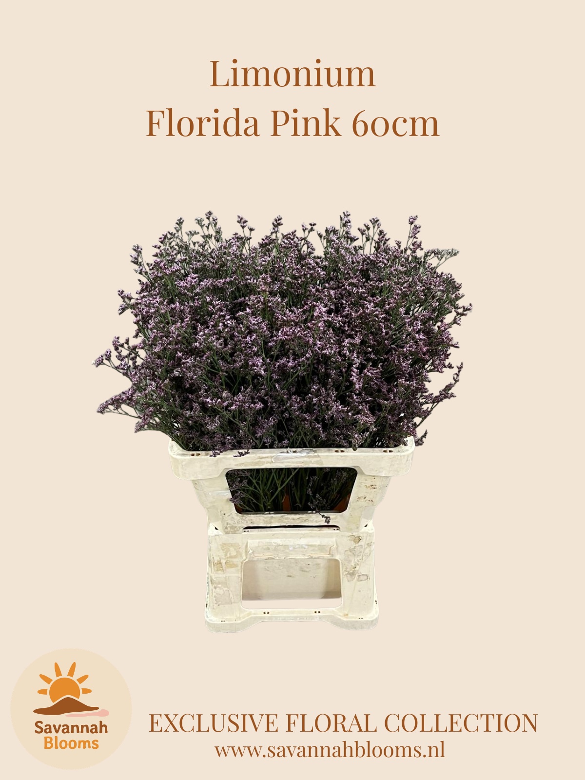 Lim Florida Pink
