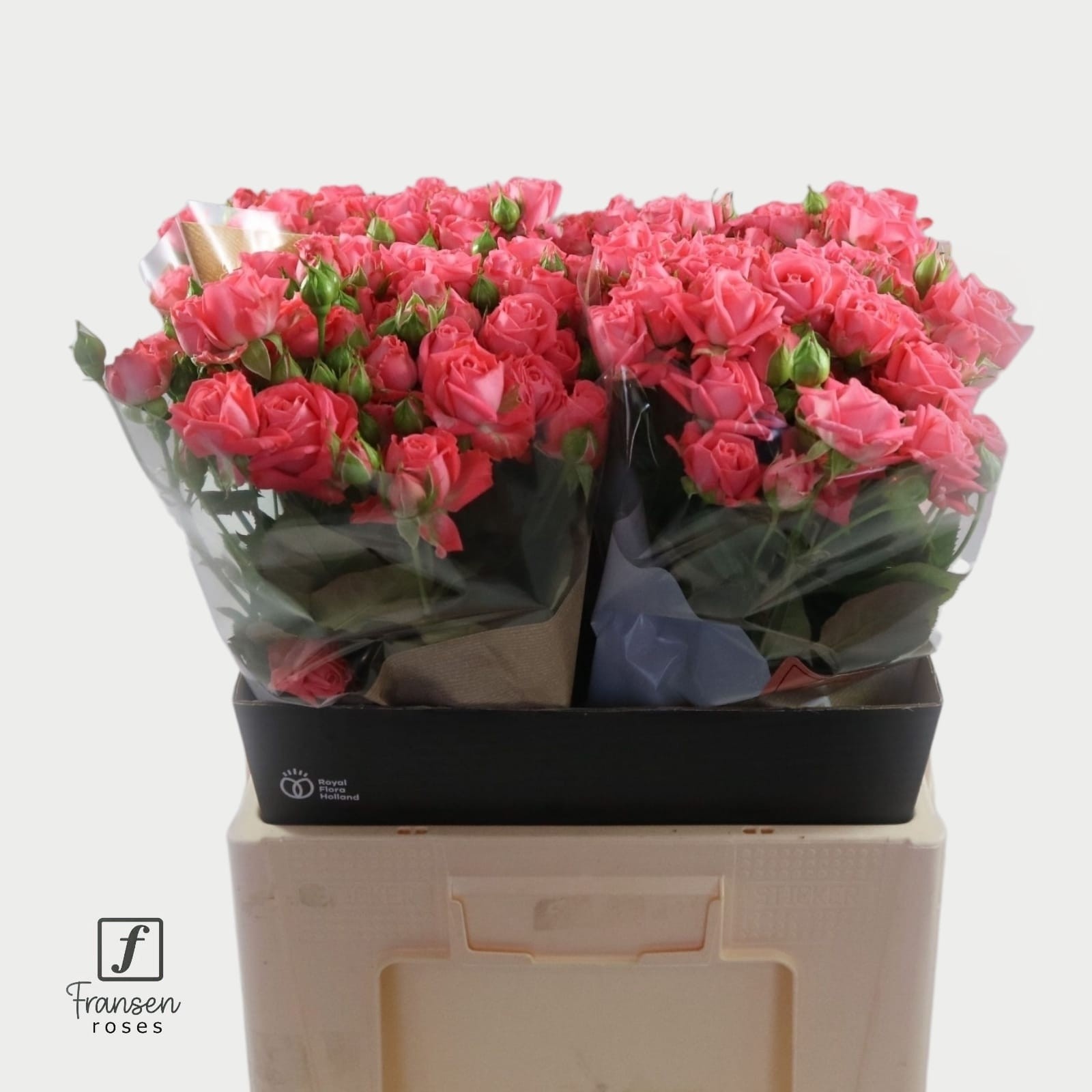 R Tr Barbados