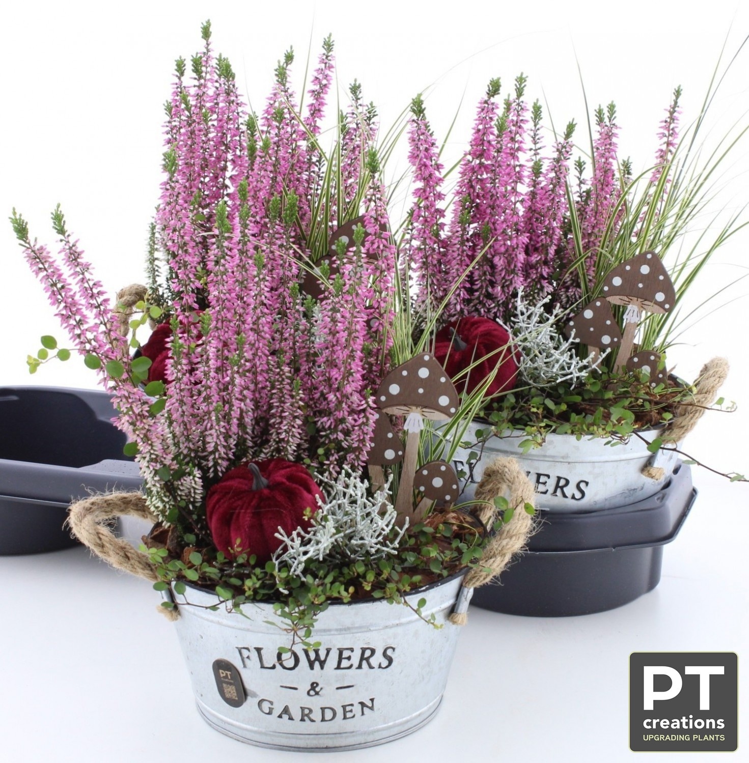 Arr Tuinplanten 19P 37cm 22bloei