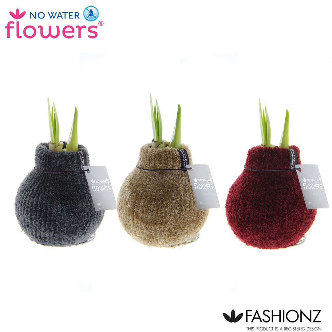 Picture of No Water Flowers® Fashionz Cozy Teddy 15CM