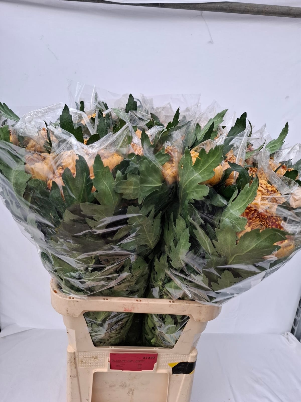 Chr G Bislet Bronze 80cm 125gram