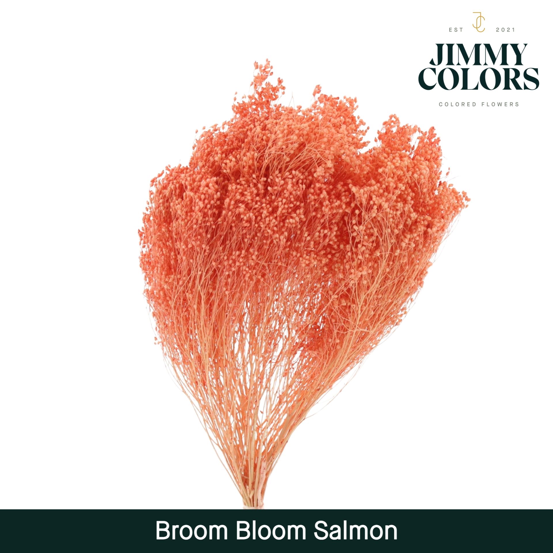 Broom Bloom Salmon