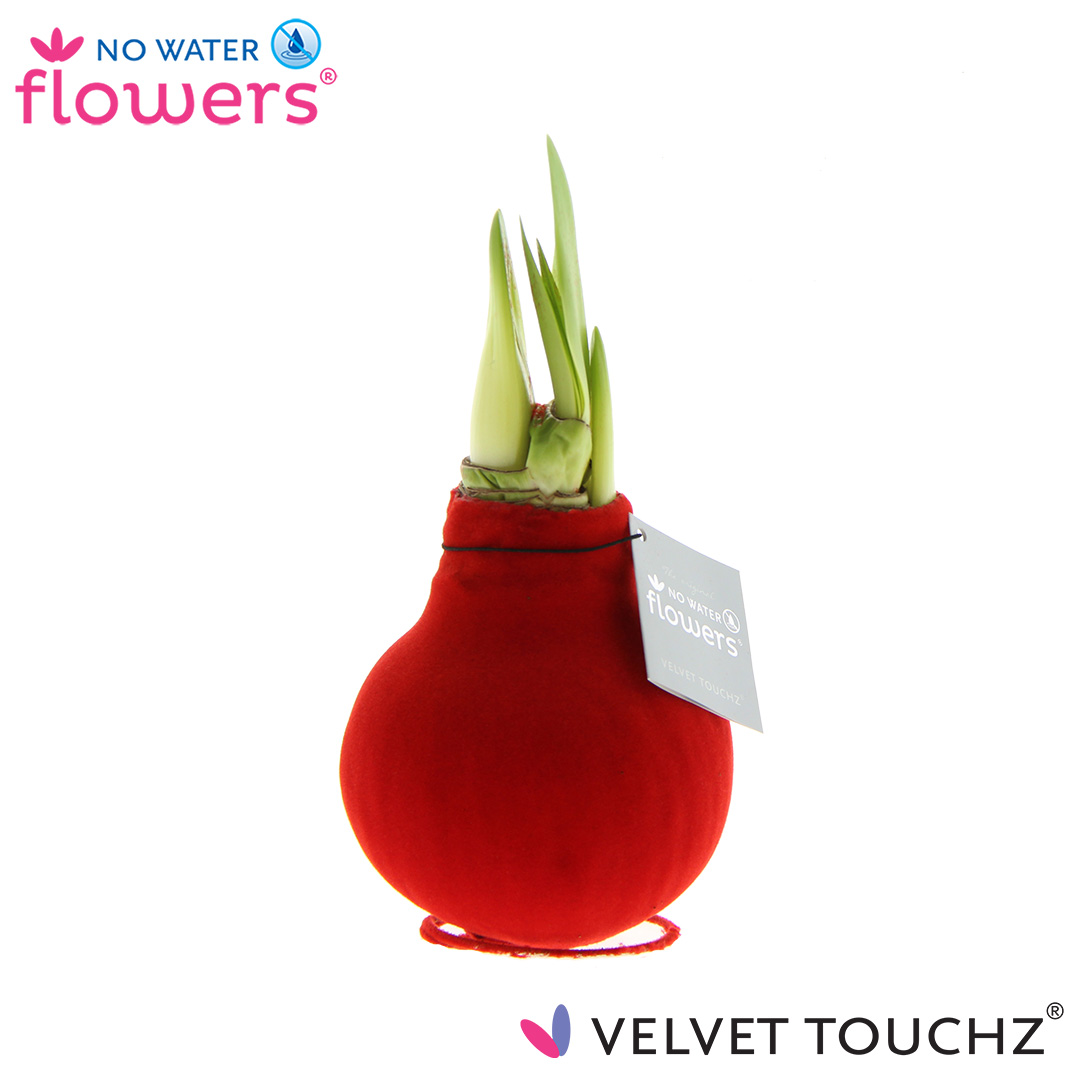 Picture of No Water Flowers Velvet Touchz® Red 15CM