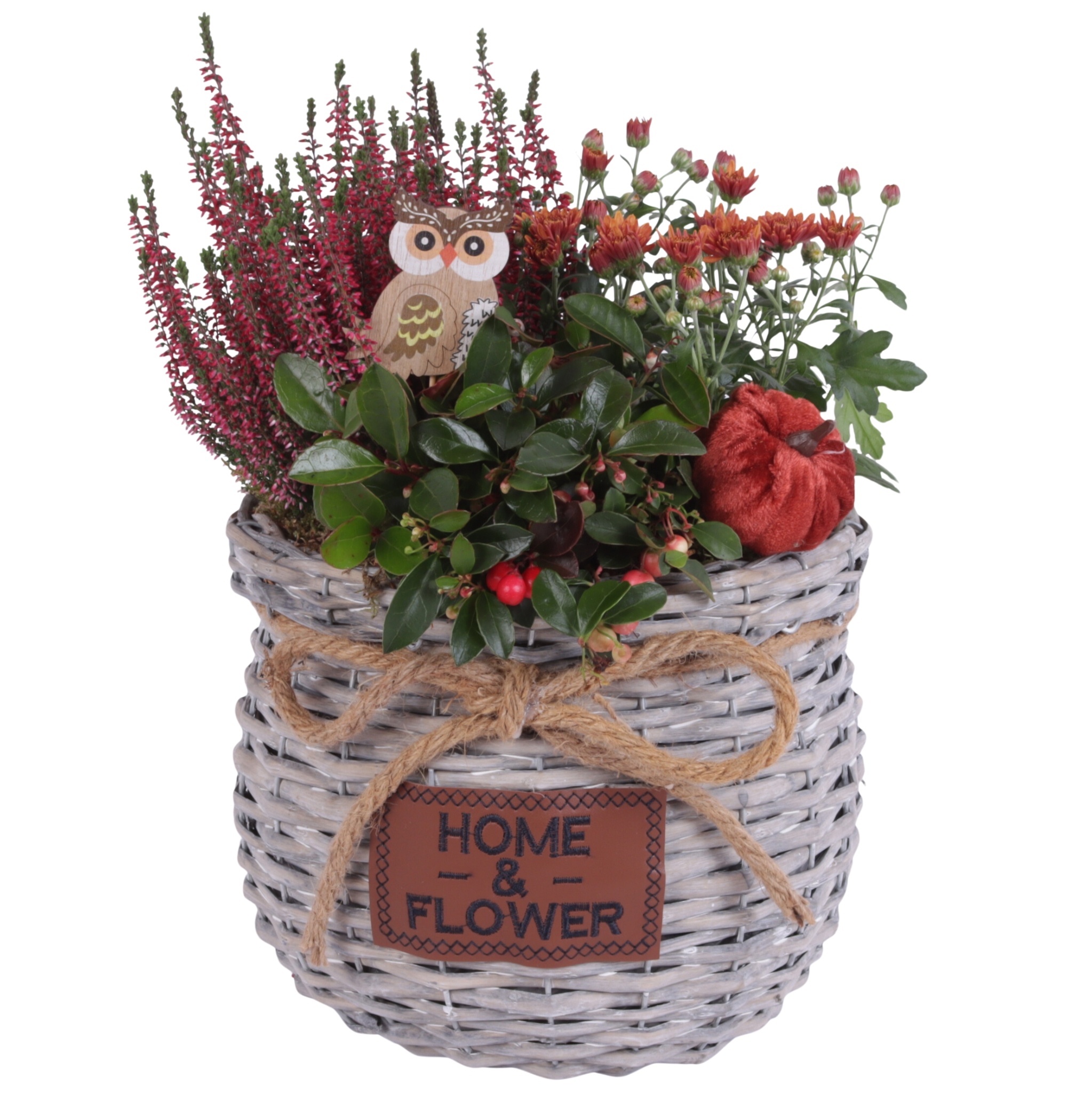 Arr Tuinplanten 25P 40cm