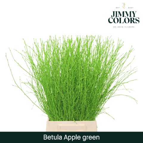 Betula L60 Apple Green