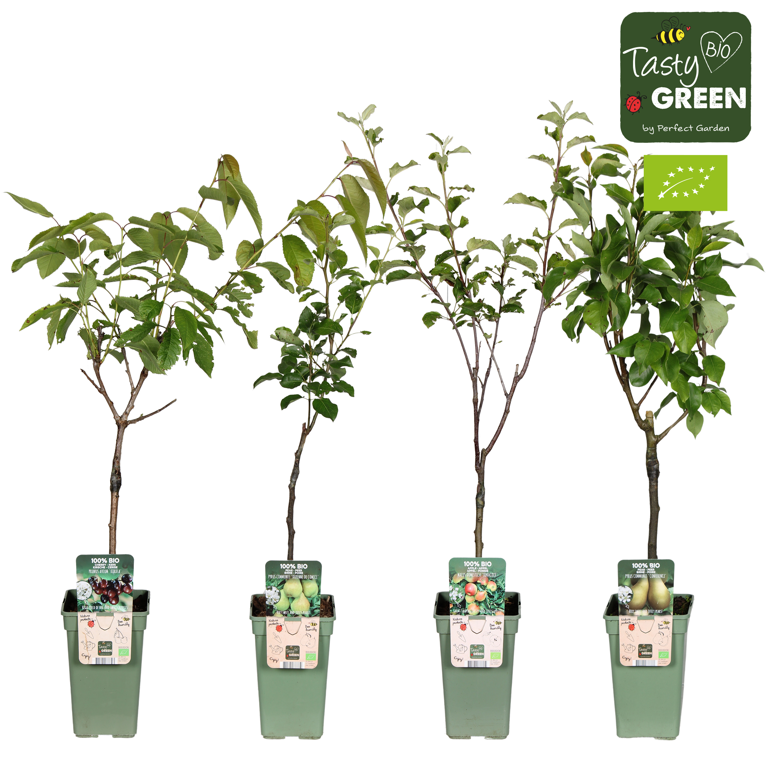 Picture of Bio Fruitbomen mix shelve P19