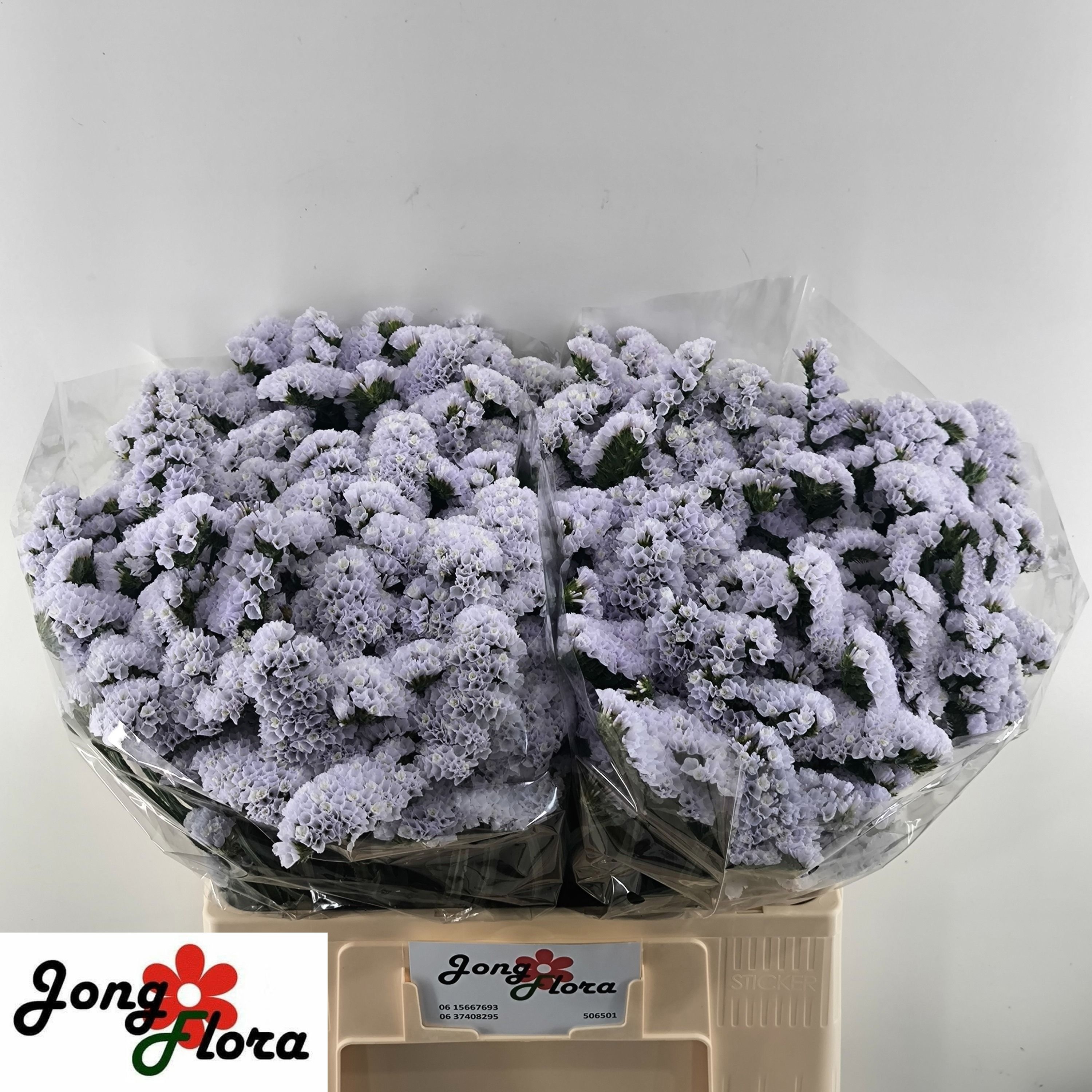 Lim S Silky Wings 60cm 25gram