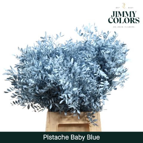 Pistache L50 Light Blue