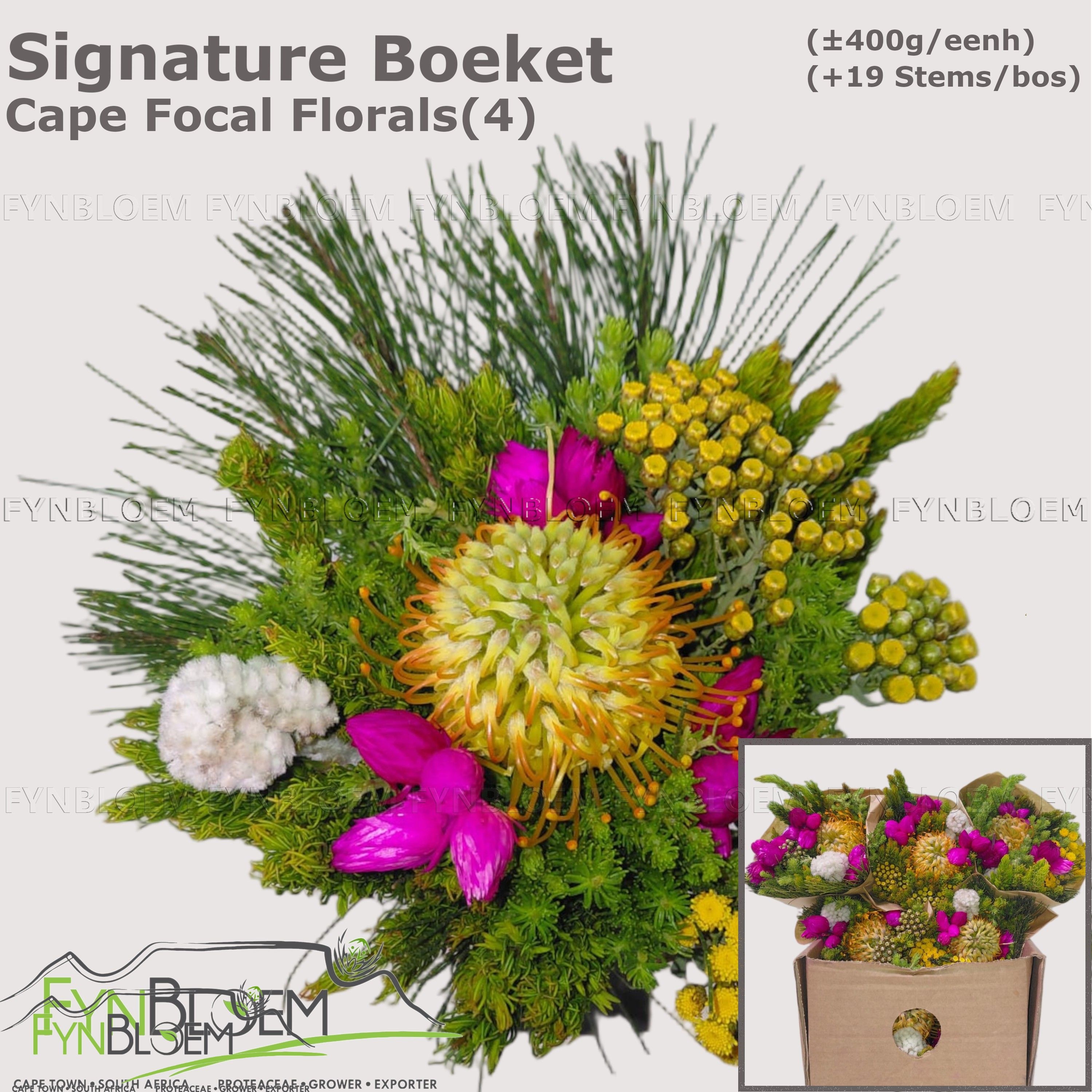 Protea Bouquet Per Bunch 40cm
