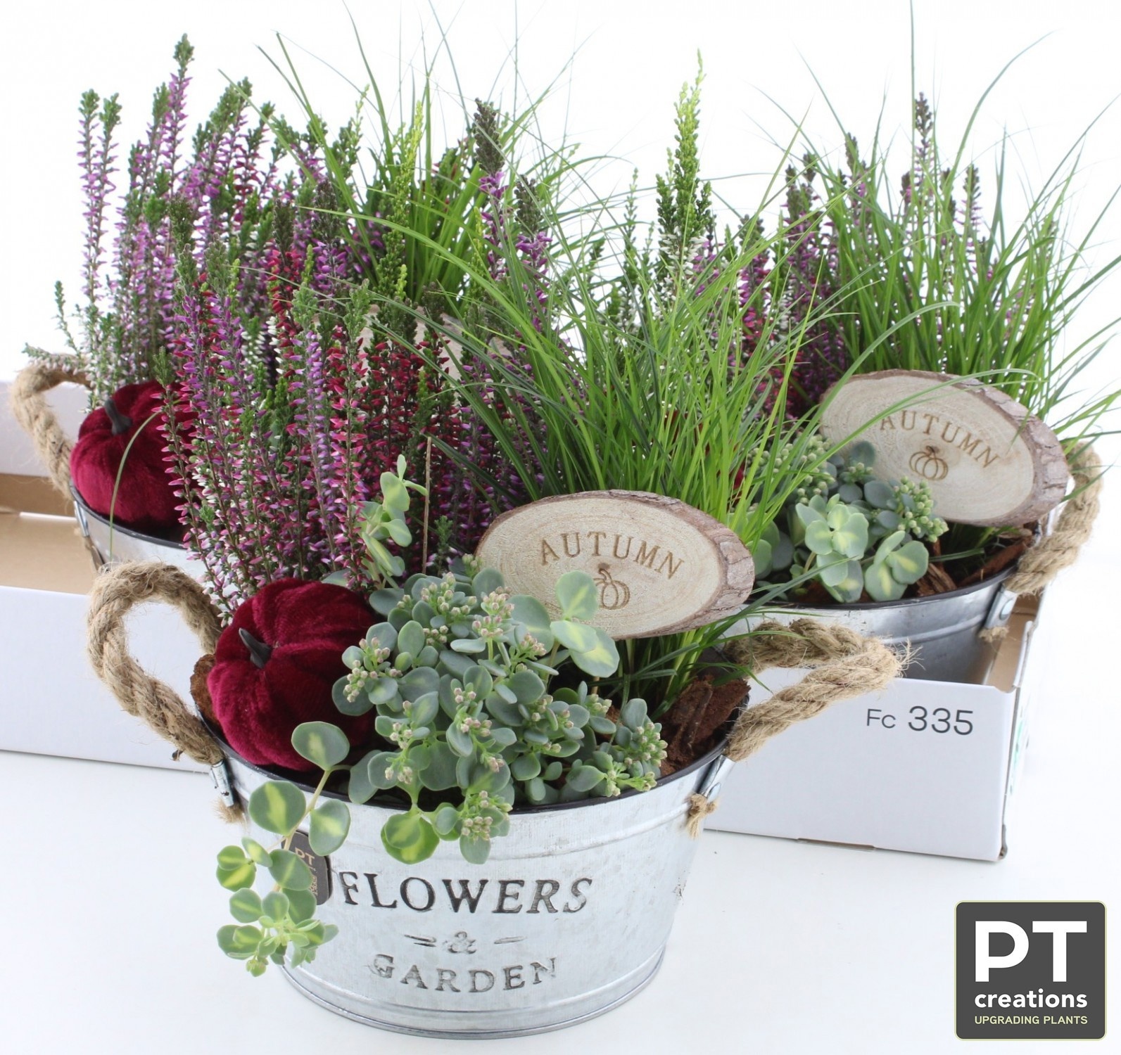 Arr Tuinplanten 18P 33cm 22bloei