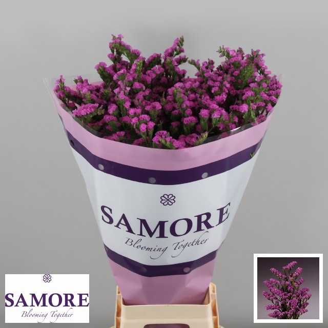 Limonium St Rosa Sun Birds 80cm 80gram
