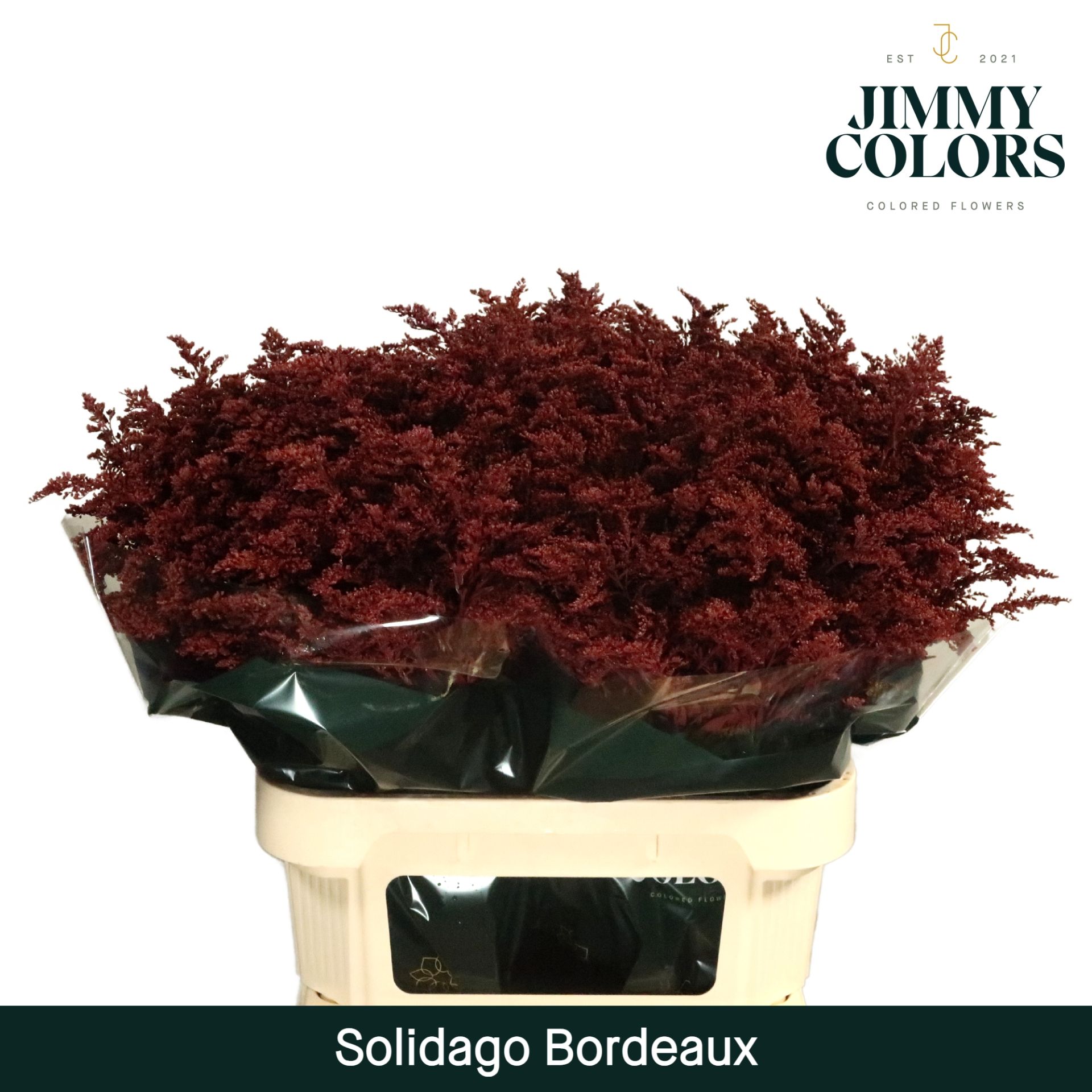 Solidago L80 Bordeaux
