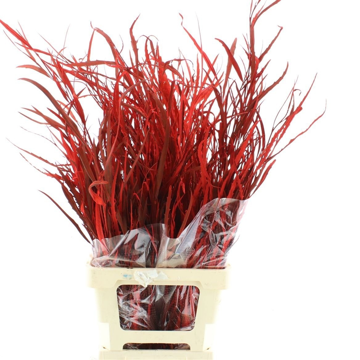 Decoration Greens Painted 70cm 200gram