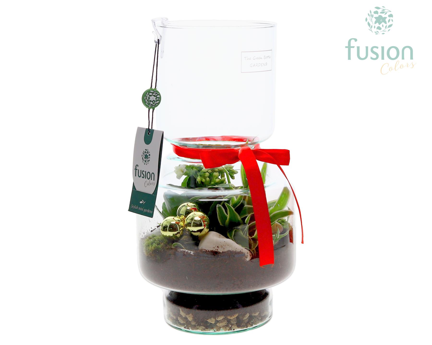 Picture of X-Mas arrangement Green Bottle Lotte Medium FC-24.0935FDH P16 29CM