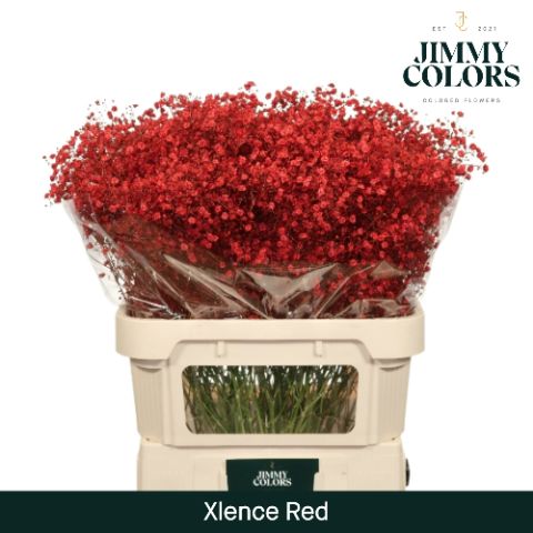 Gyps Xlence L80 Red