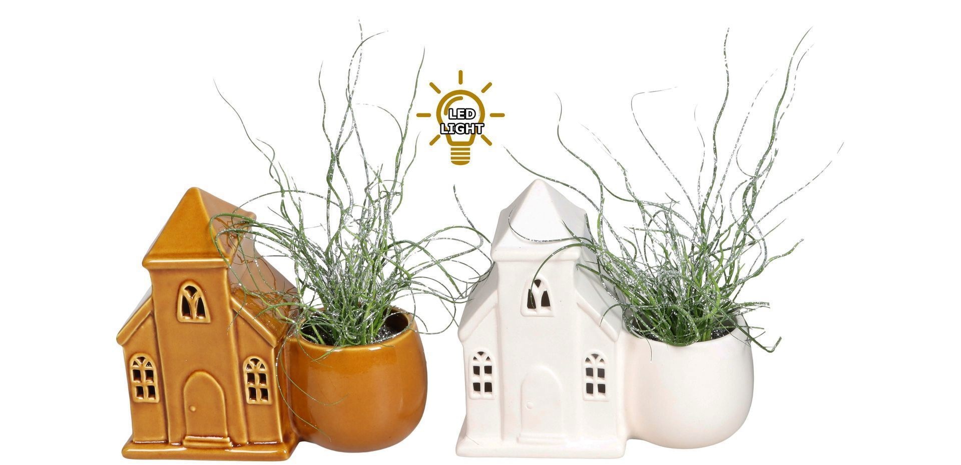 Juncus L 67470 With Juncus 'Spiralis' Glitter