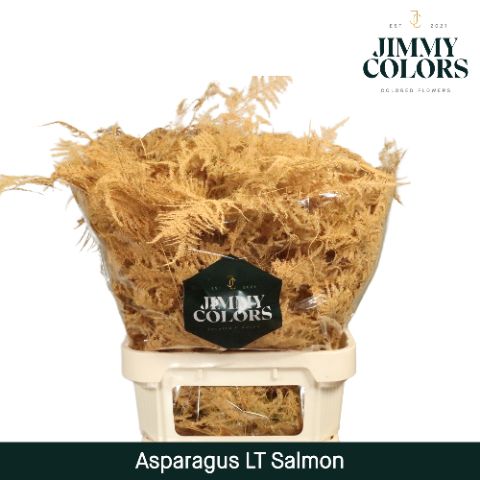 Aspa Lang Getopt Salmon