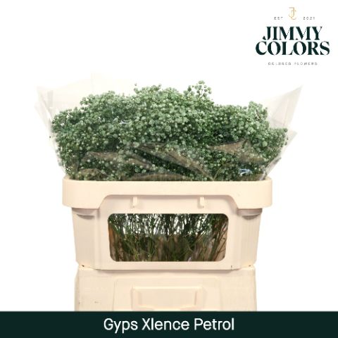 Gyps Xlence L70 Petrol