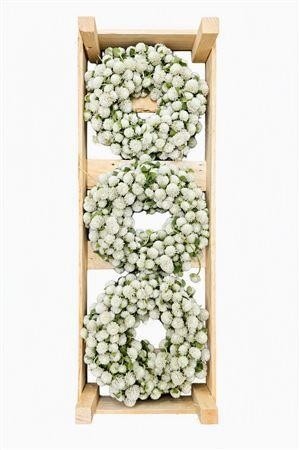 Wreath