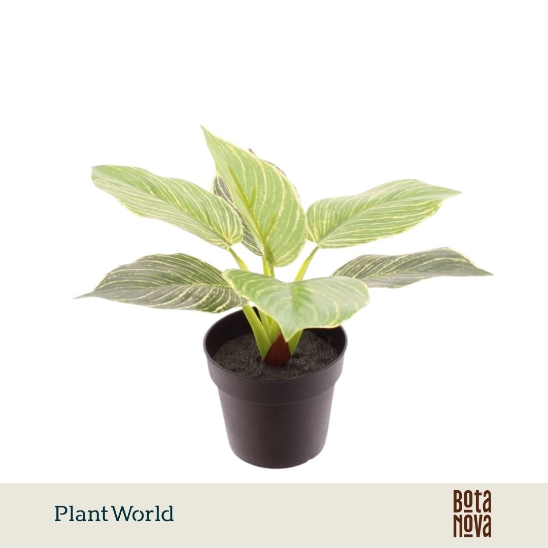 Philodendron ARTIFICIAL Philodendron Birkin