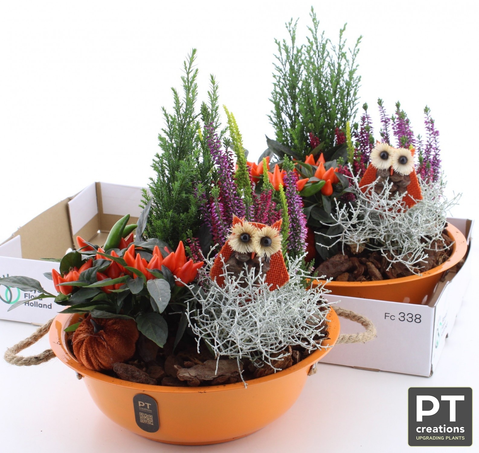 Arr Tuinplanten 30P 35cm 22bloei