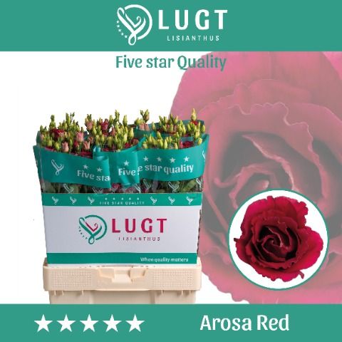 Eus G Arosa Red