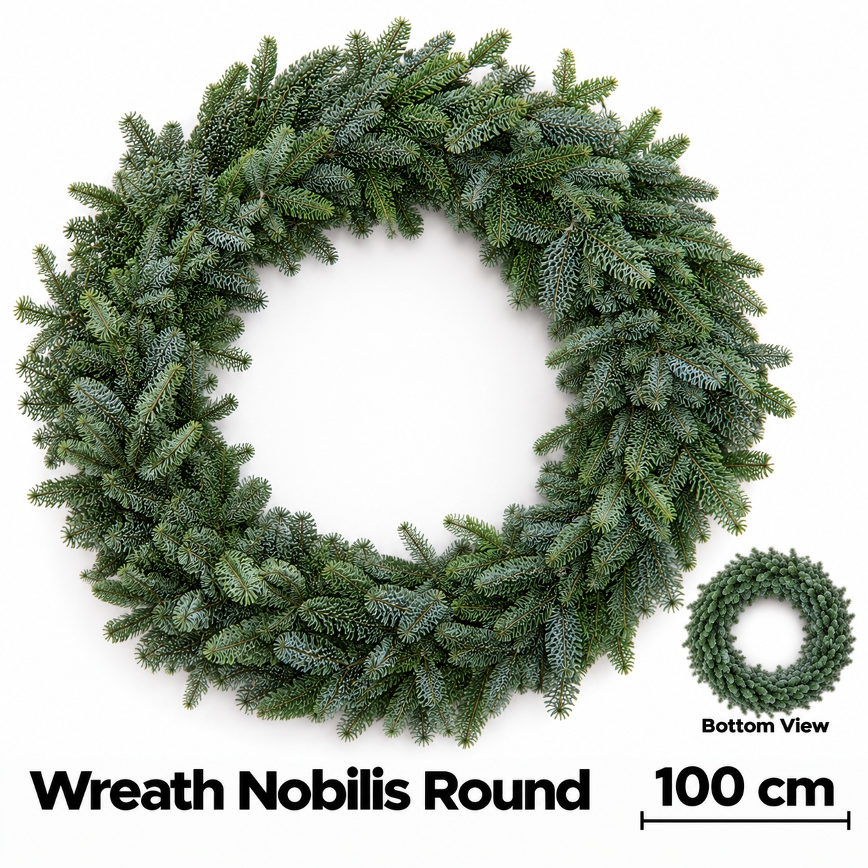 Abies Nobilis Blauw 100L.cm