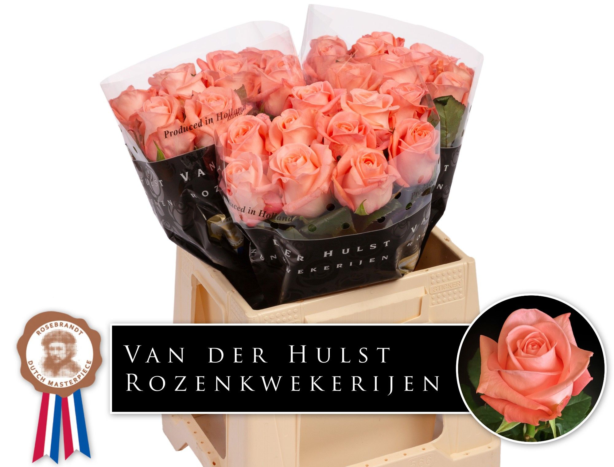 Rosa Big Girl 40cm