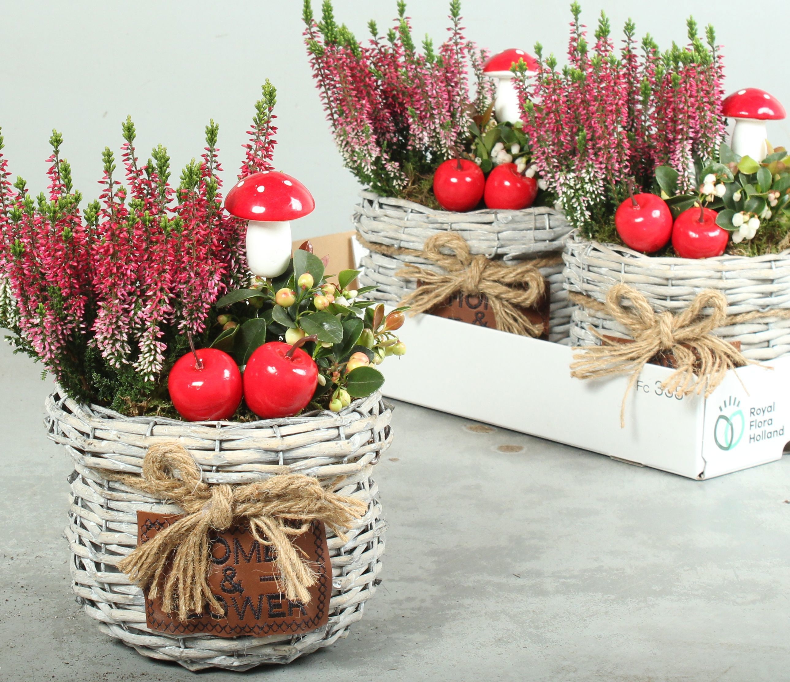 Arr Tuinplanten 19P 40cm