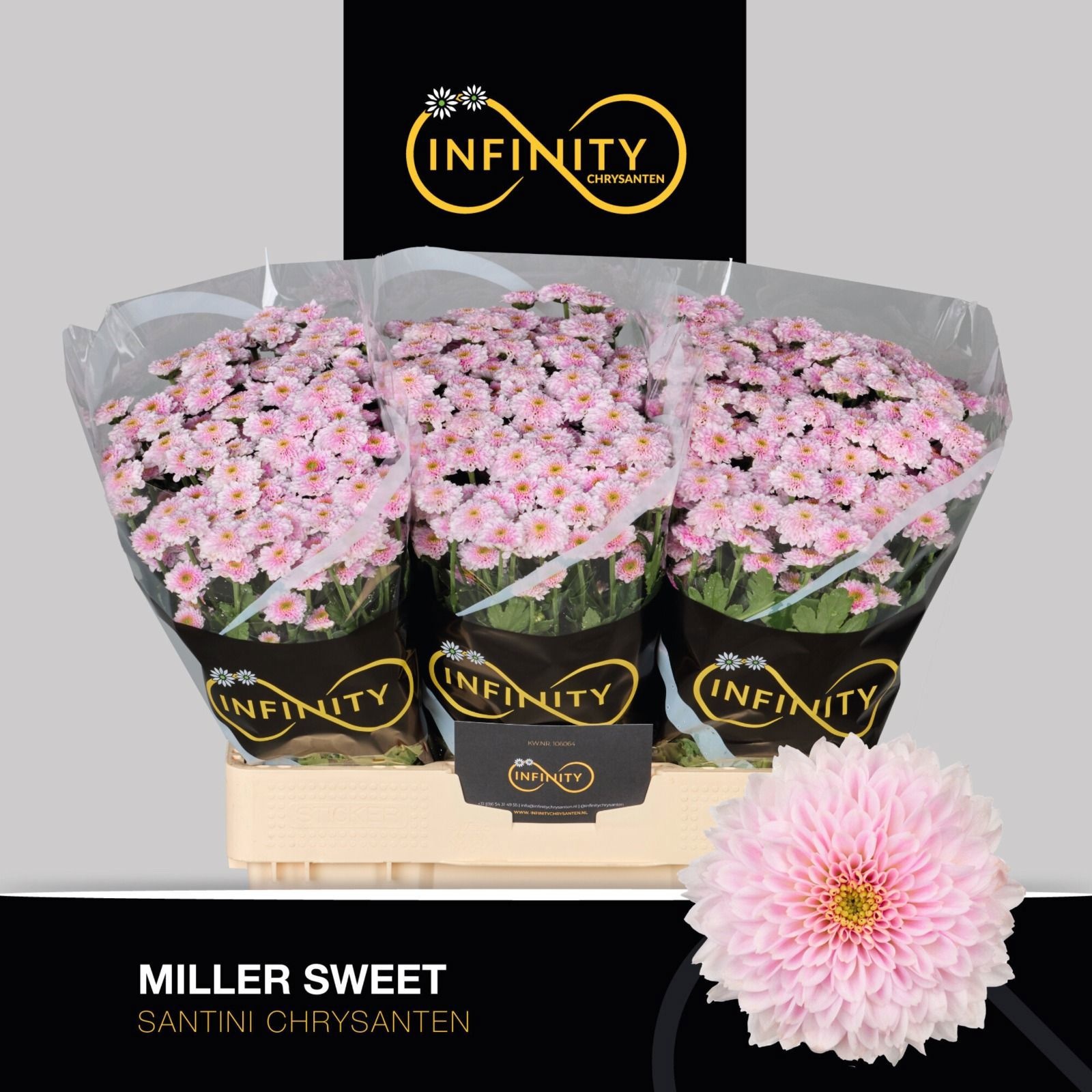 Chr S Miller Sweet