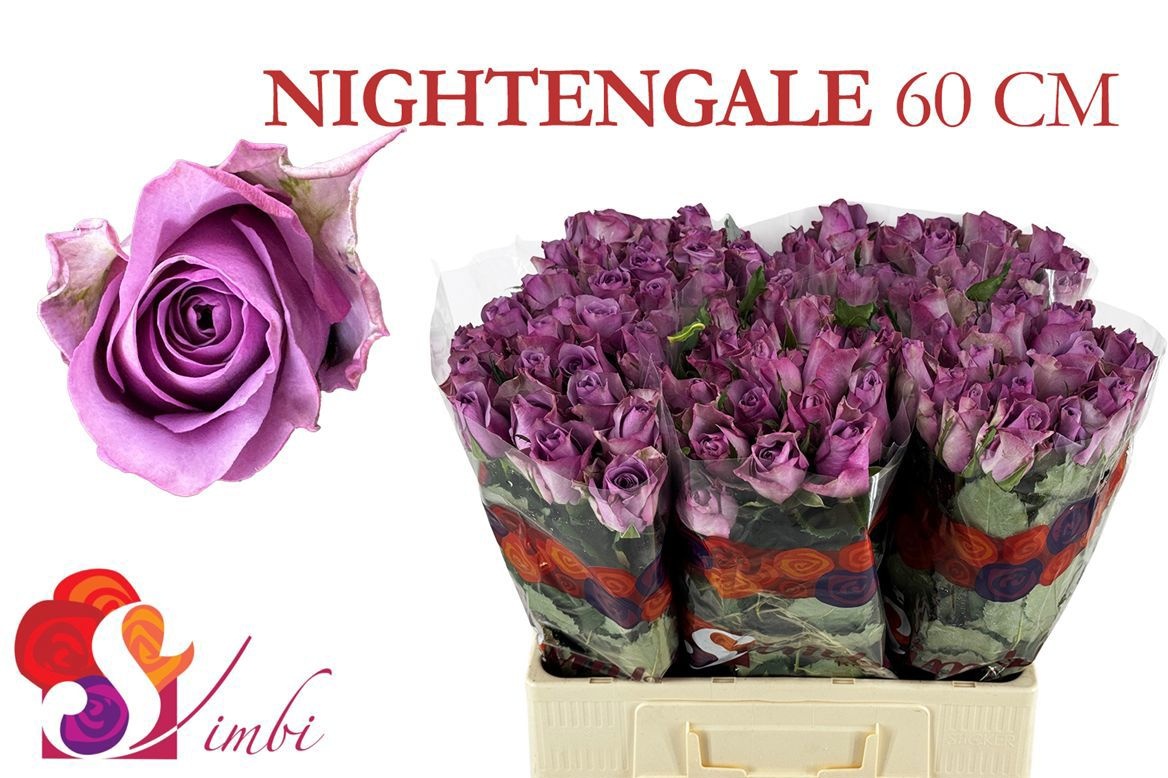R Gr Nightingale!
