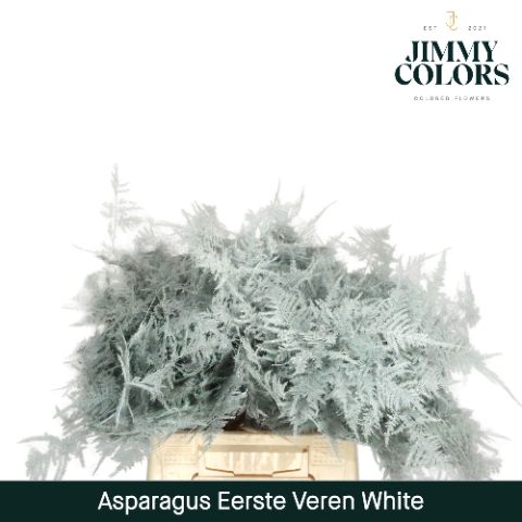 Aspa 1ste Veren White