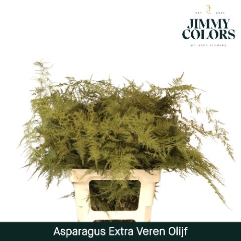 Aspa Extra Veren Olive