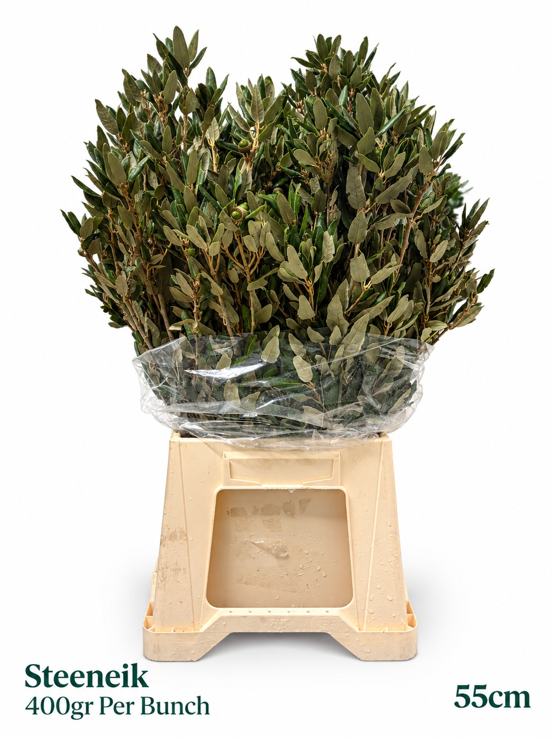 Decogroen Ov Bs 55L.cm