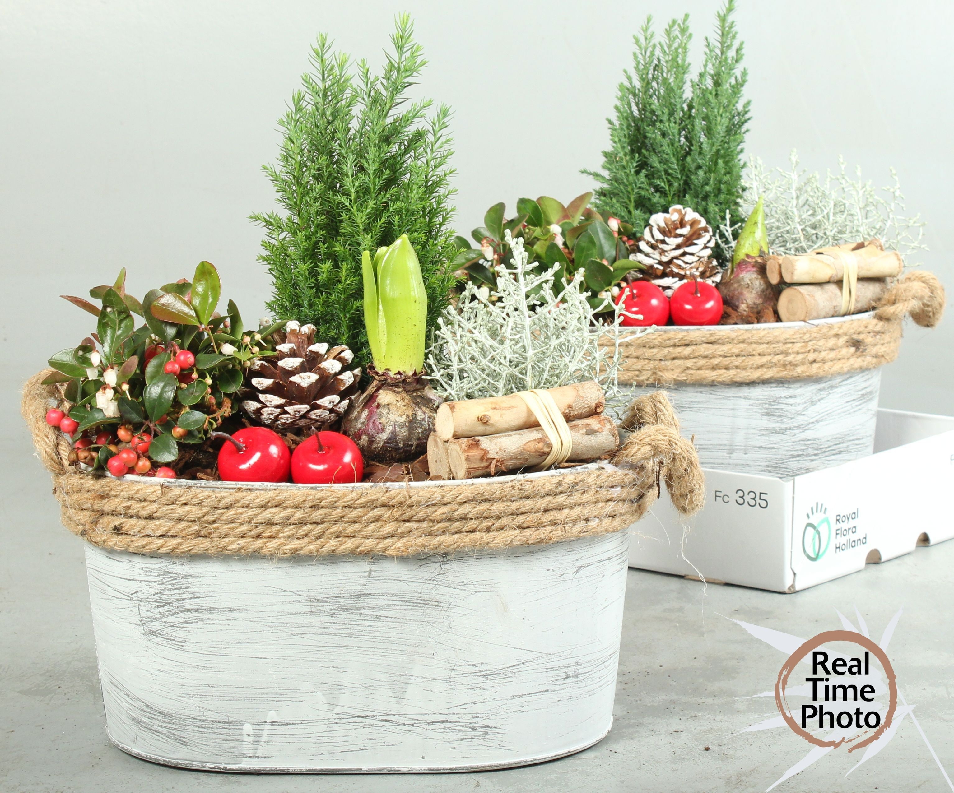 Arr Tuinplanten 29P 40cm