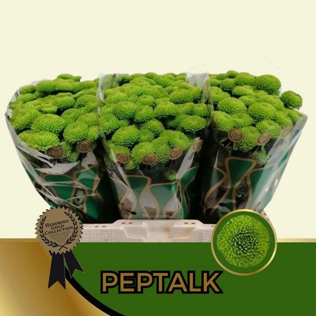 Chr S Aaa Peptalk