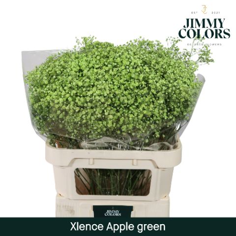 Gyps Xlence L80 Apple Green