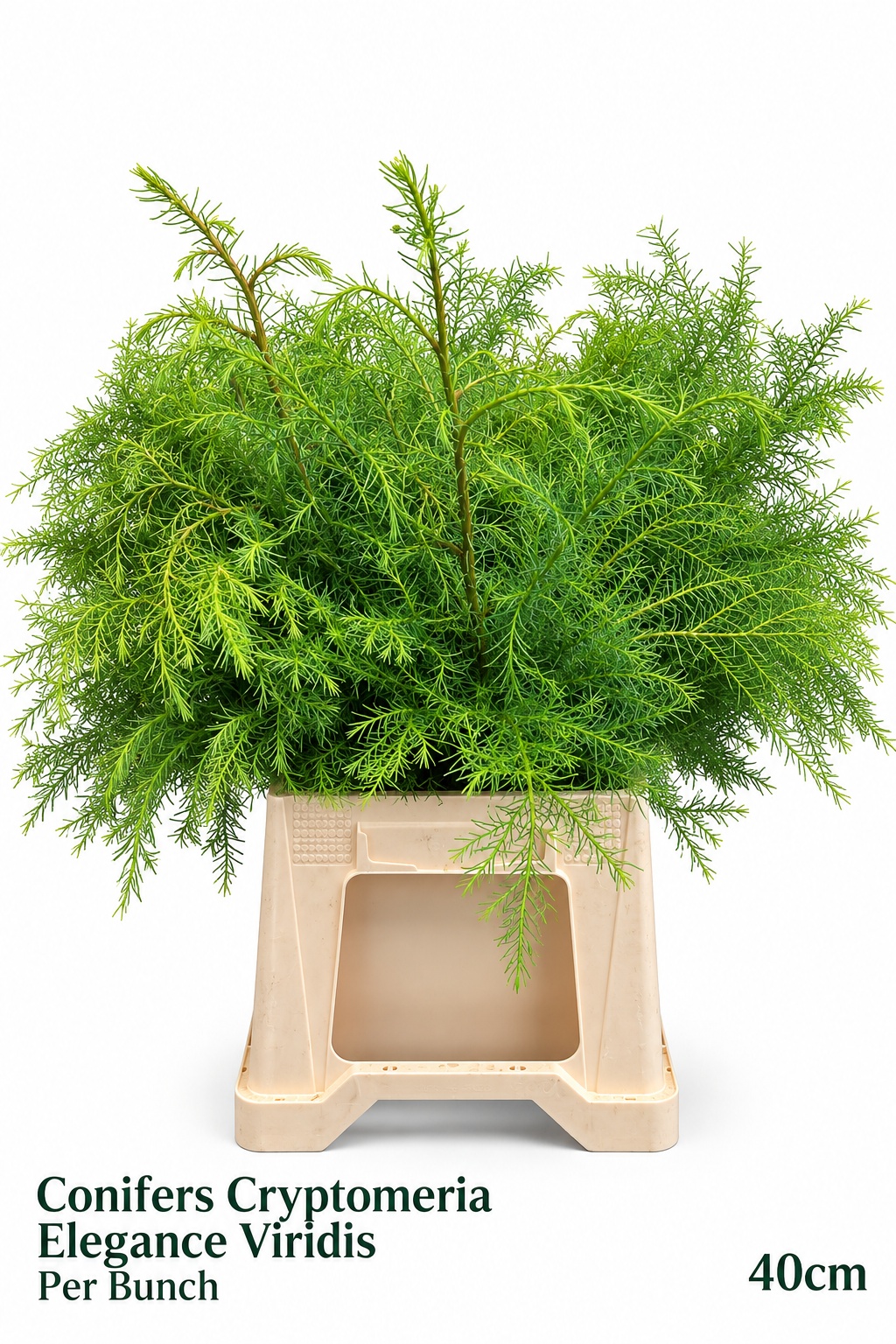 Coniferen Snijgroen 50L.cm