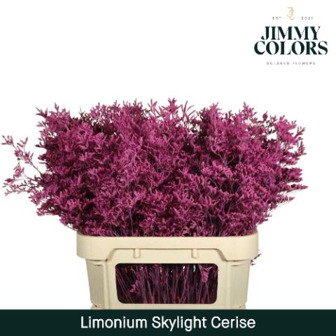 Lim Skylight L80 Cerise