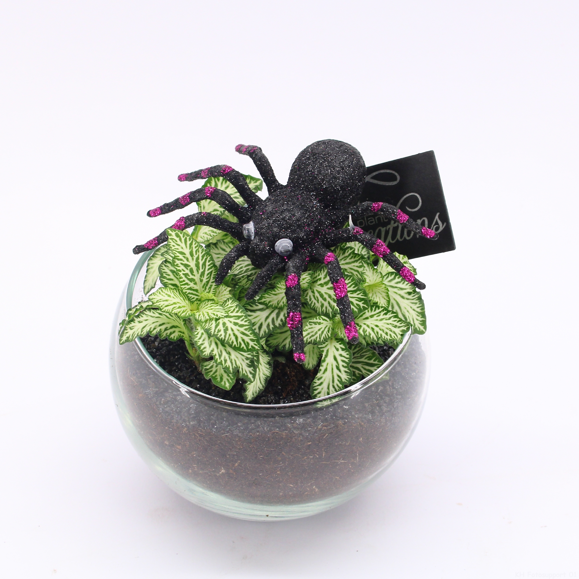 Picture of HWCR-2410 Halloween arrangement P13 15CM