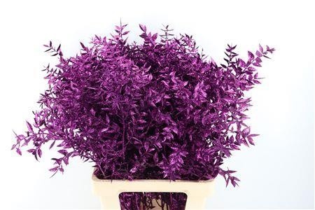 Dried/preserved Flowers Misc 60cm 18gram