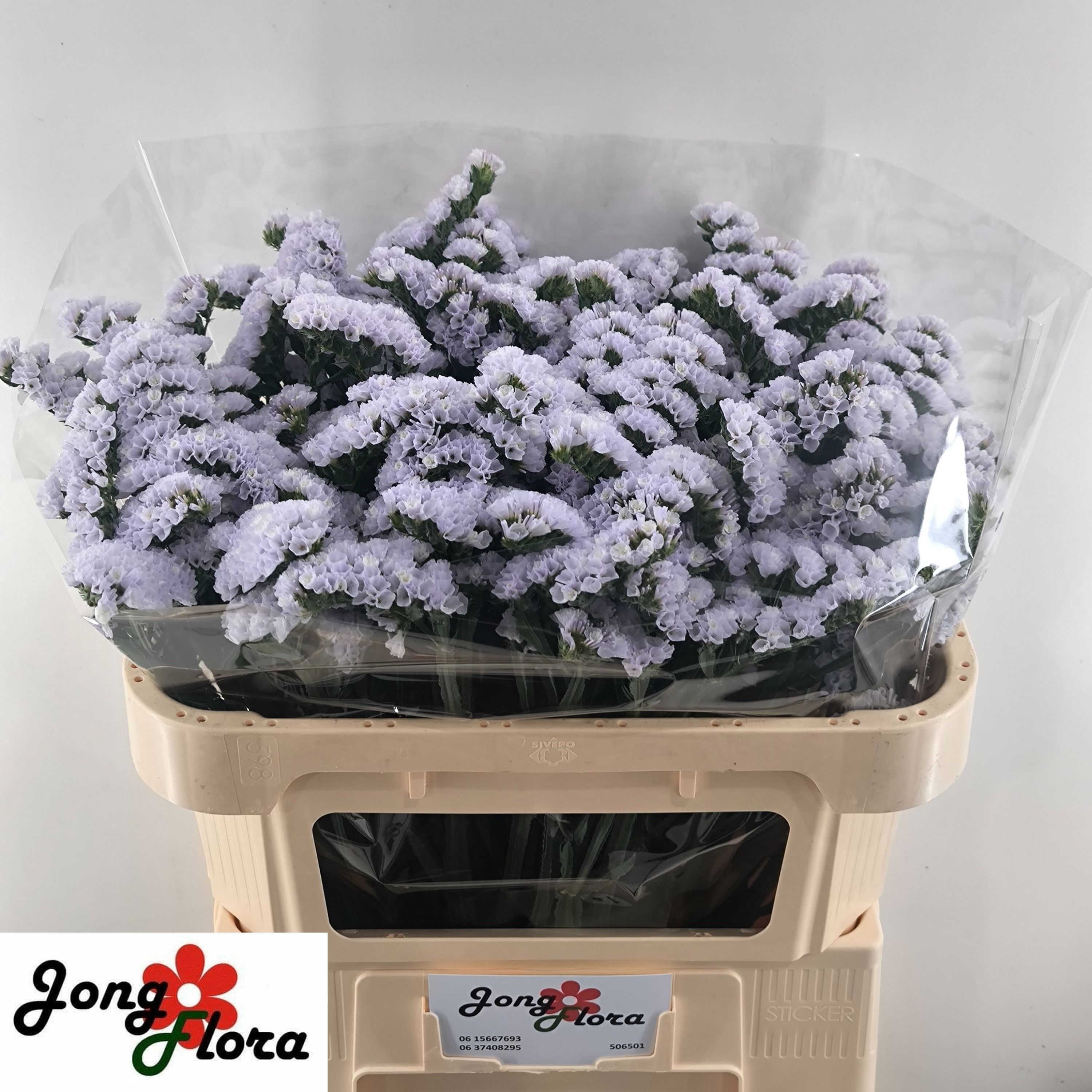 Lim S Silky Wings 70cm 40gram