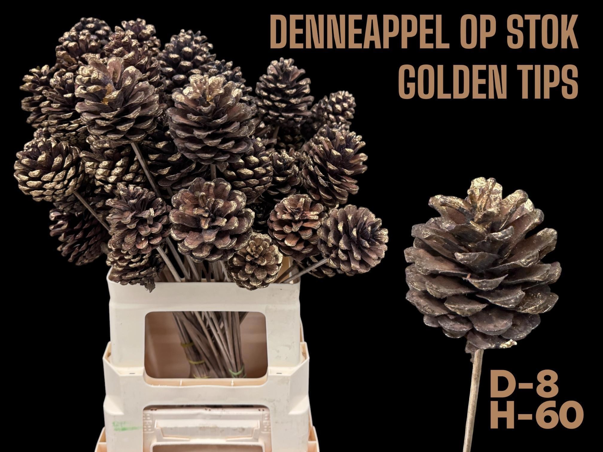Dennenapp Op Stok H%