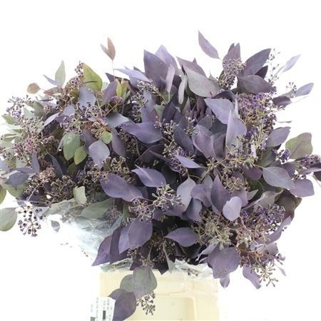 Decorative Greens Painted 60cm 300gram