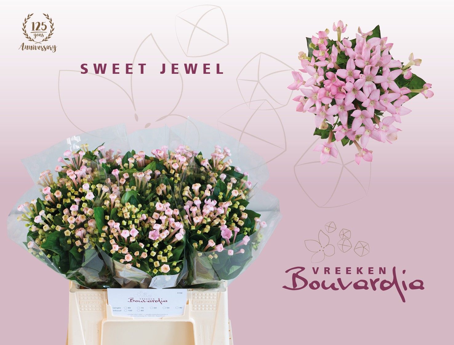 Bou En Sweet Jewel