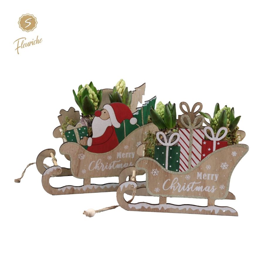 Picture of (2916) Hyacint Santa's Christmas Sled 2PP Moss P26 20CM