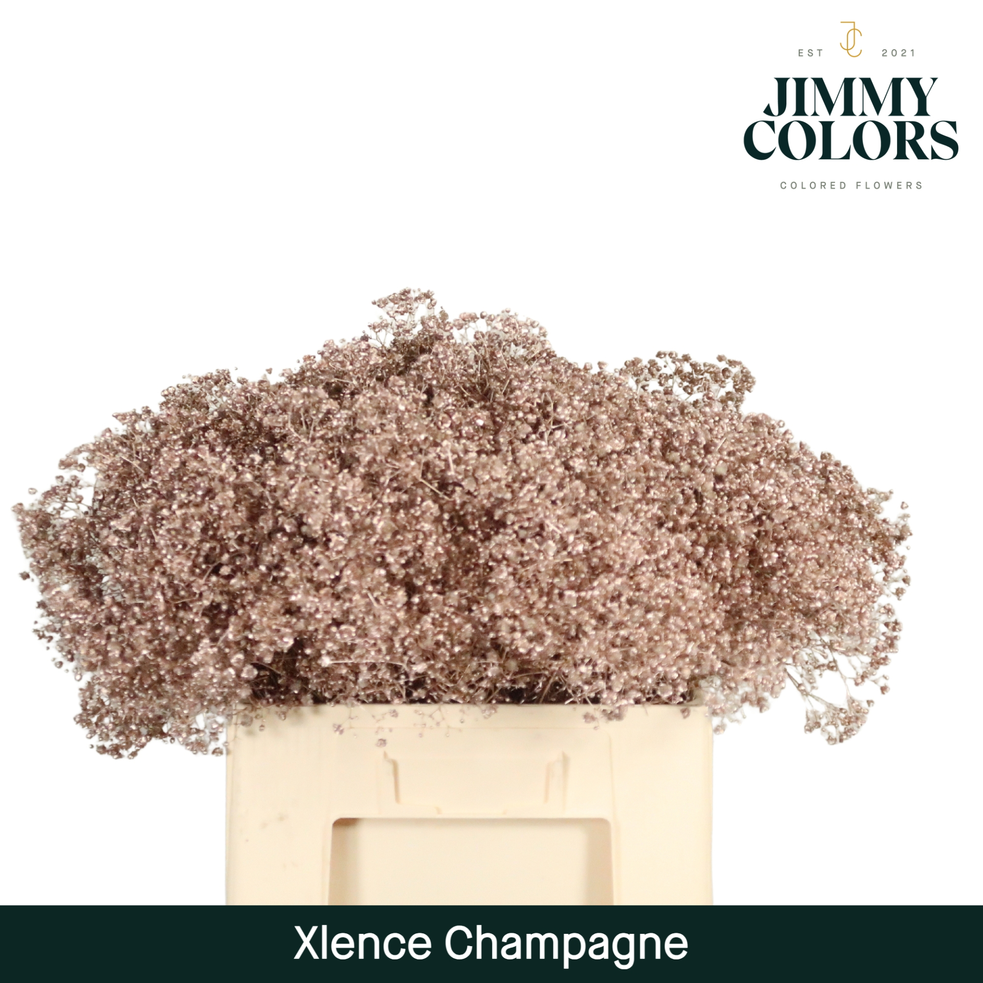Gyps Xlence L60 Mtlc. Champagne