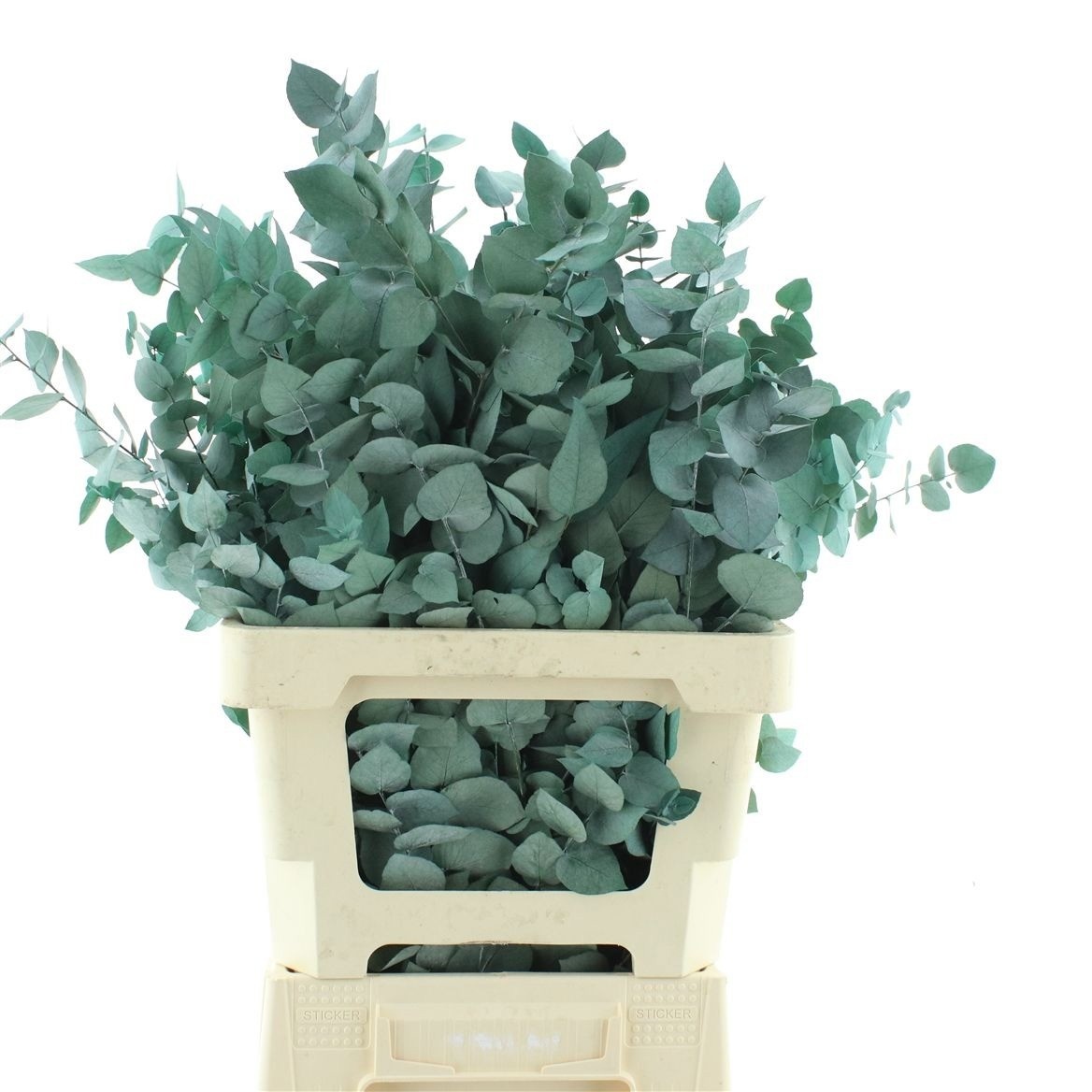 Decoration Greens Painted 70cm 200gram